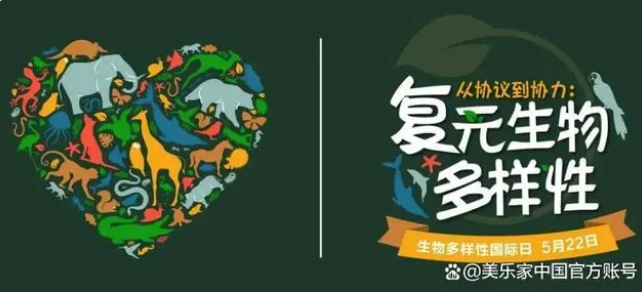 守卫地球的绿色壁垒，美乐家（中国）与你一起共同保护海底森林